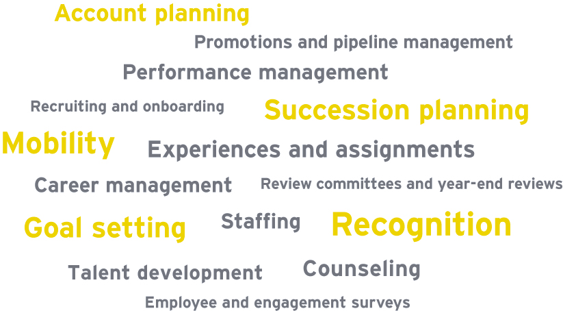 Account planning, Pipeline management, Performance management, Recruiting and on boarding, Succession planning, Mobility, Experiences and assignments, Career management, Roundtables and year-end reviews, Goal setting, Staffing, Recognition, Talent development, Coaching and counselling, Employee or engagement surveys